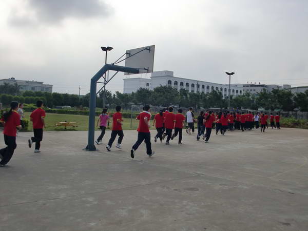 ��������(6)